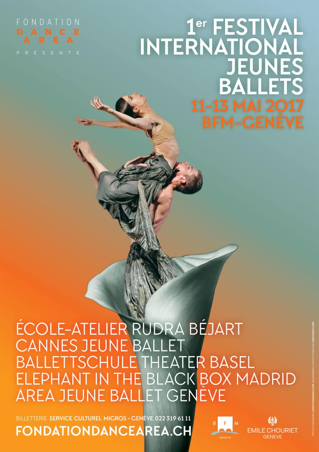 1<sup>er</sup> Festival International<br>Jeunes Ballets